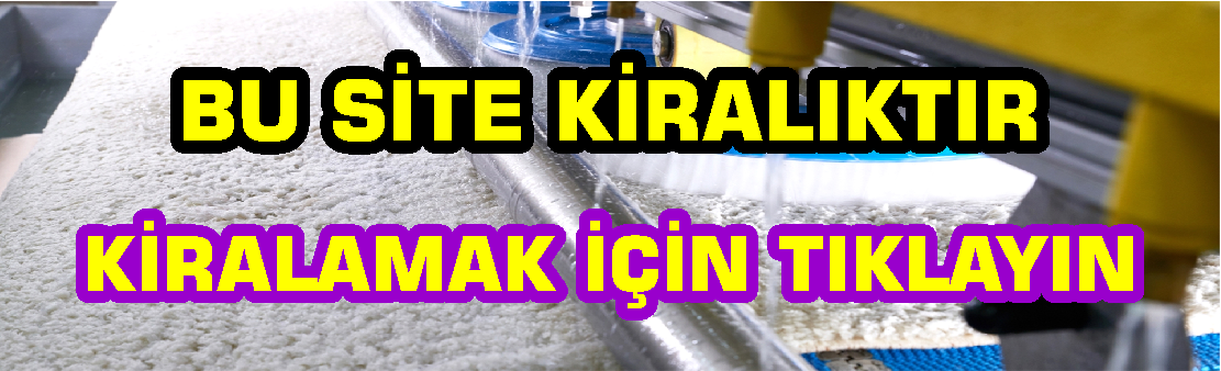 halı yıkama